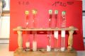 gal/LES_CINQUIEMES/ACTIVITE DIGESTION IN VITRO/Groupe_03/Groupe03_t_01h20min/_thb_Groupe03_temps01H20min_6.jpg